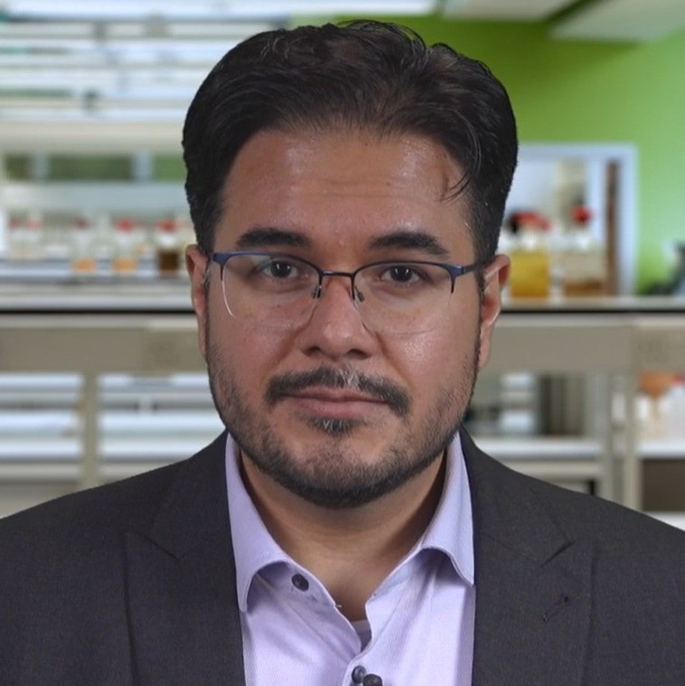 Dr David Campos Gaona